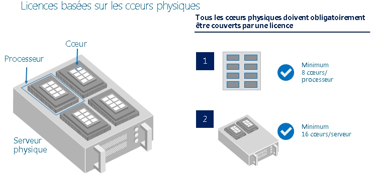 Licence coeur physiques schemas